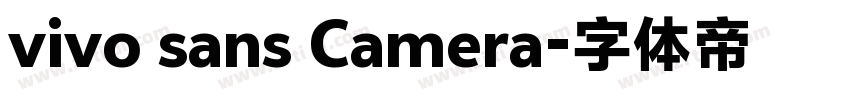 vivo sans Camera字体转换